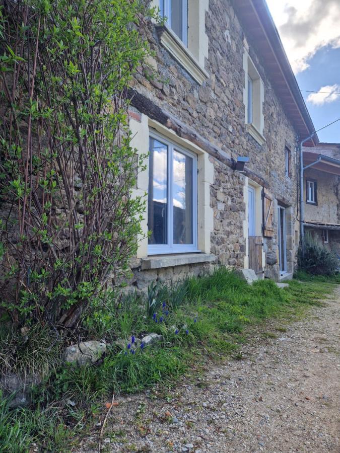 Gite Des Catalpas Vollore-Ville Exterior foto